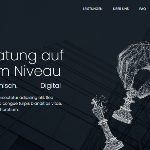 Business Website