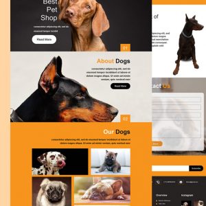 DPot – Pet Shop PSD