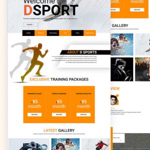DSports – Free MultiPurpose PSD Template