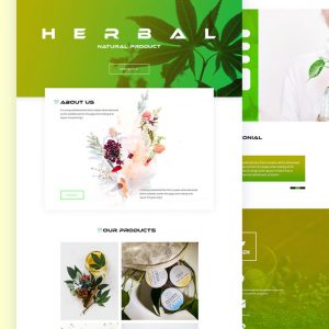 Medi – Herbal Product PSD Template